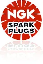 Свеча зажигания NGK   93482   SILZKAR7B11 (DENSO 4712)