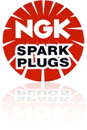 Свеча зажигания NGK   3903   BPR6EIX-11